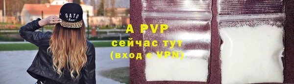 тгк Аша