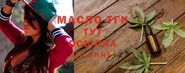 тгк Аша