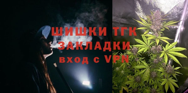 тгк Аша