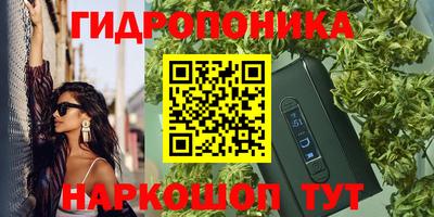 каннабис Берёзовский