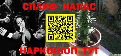 каннабис Берёзовский