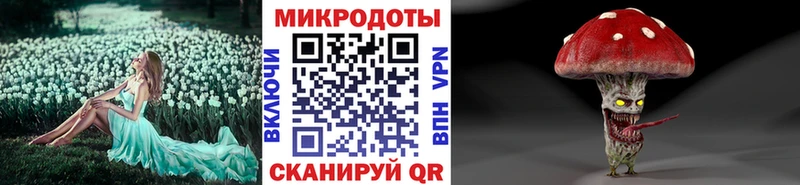 хочу наркоту  Камень-на-Оби  Псилоцибиновые грибы мухоморы 